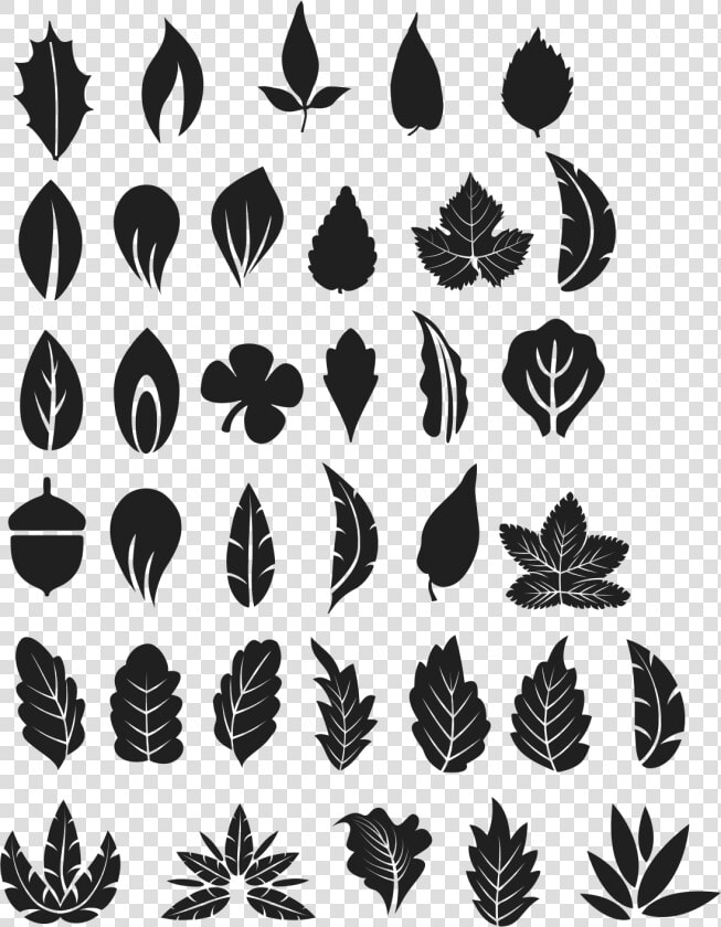 Tree Leaves Vectors Png  Transparent PngTransparent PNG