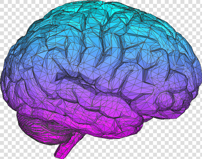 Brain Transparent Tumblr   Brain Png  Png DownloadTransparent PNG