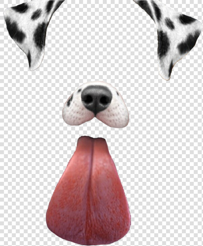 Filtros De Snapchat Perro  HD Png DownloadTransparent PNG