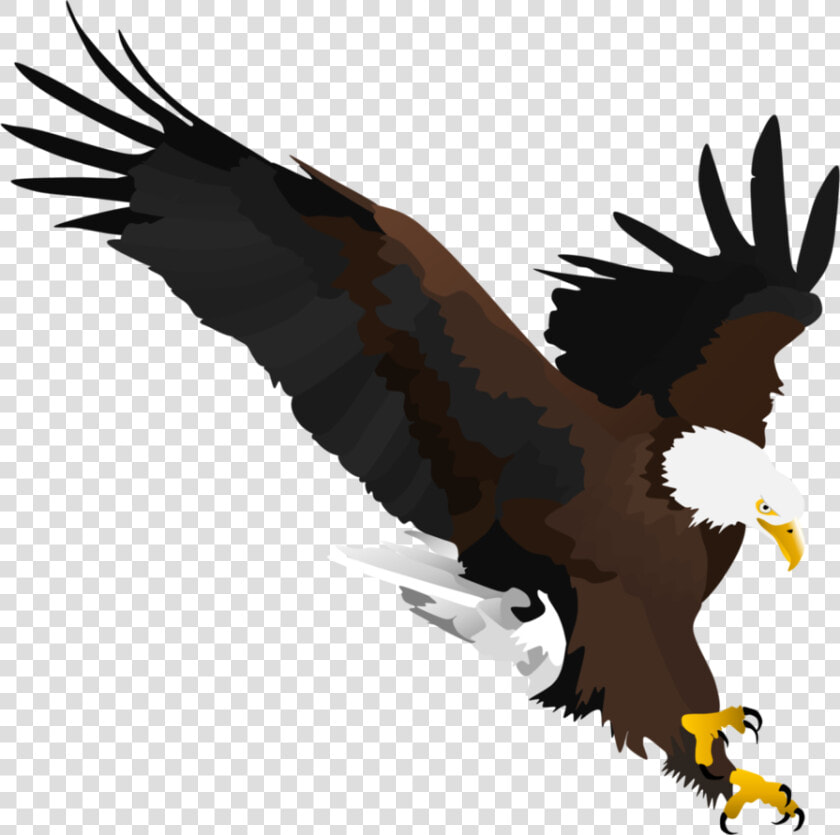 Bald Eagle By Fox shade   Eagle Shade  HD Png DownloadTransparent PNG