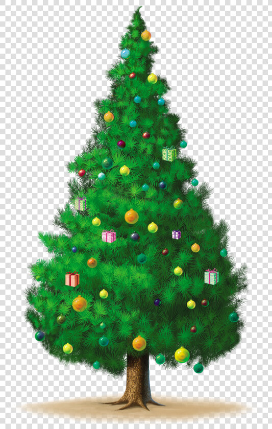 De Nuria D • Publicado En Gifs De Arboles De Navidad   Christmas Tree  HD Png DownloadTransparent PNG