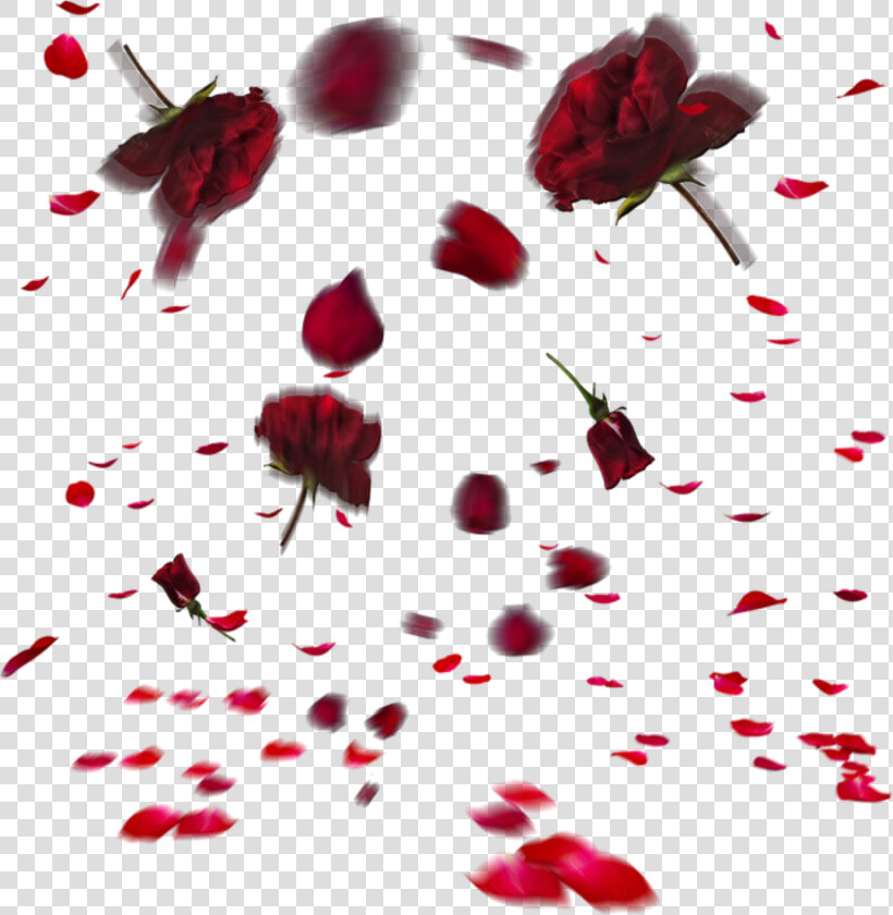 Rose Petal Falling Png  Transparent PngTransparent PNG