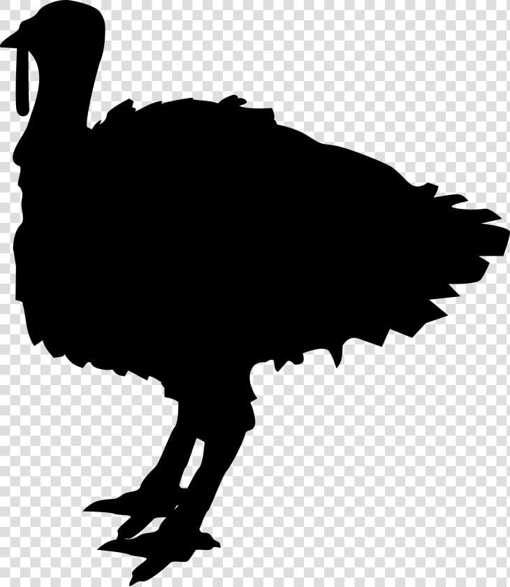 Turkey Shape Clip Arts   Black Turkey Cartoon  HD Png DownloadTransparent PNG