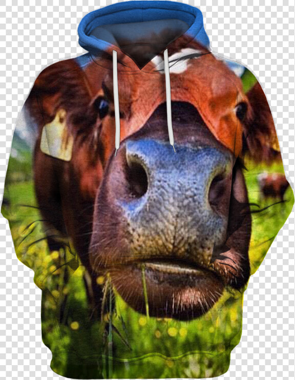 Transparent Cute Cow Png   Photograph  Png DownloadTransparent PNG