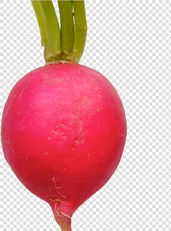 Radish Background Png   Radish  Transparent PngTransparent PNG