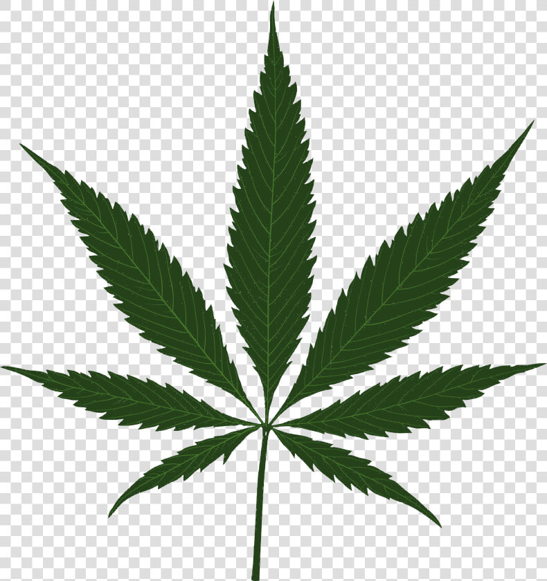 Sunshine Cannabis Leaf   Cannabis Leaf  HD Png DownloadTransparent PNG