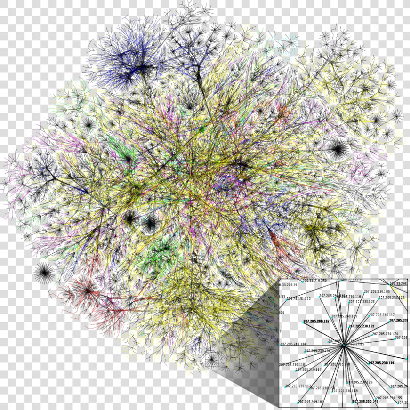 Visualization Of Internet Routing Paths   Map Of Neural Pathways  HD Png DownloadTransparent PNG