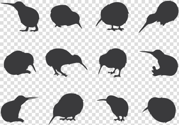 Kiwi Bird Silhouettes   Kiwi Bird Icon Vector  HD Png DownloadTransparent PNG