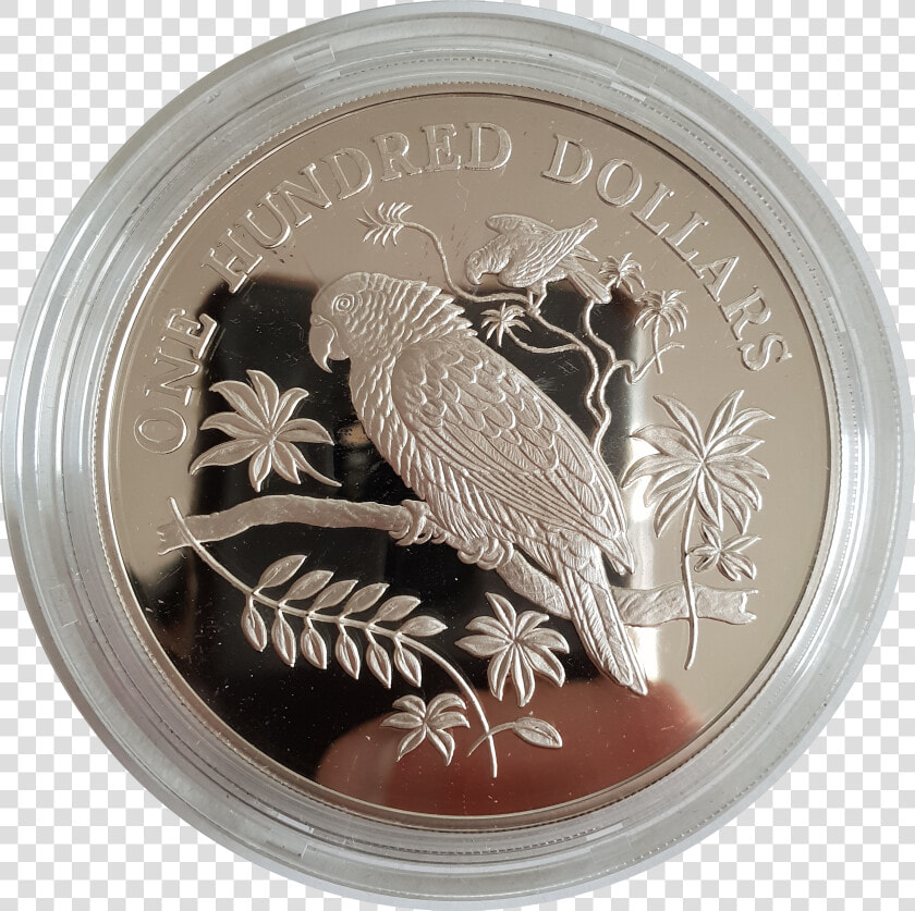 Dominica  100 Dollars  Imperial Amazon  1988  Silver   Coin  HD Png DownloadTransparent PNG