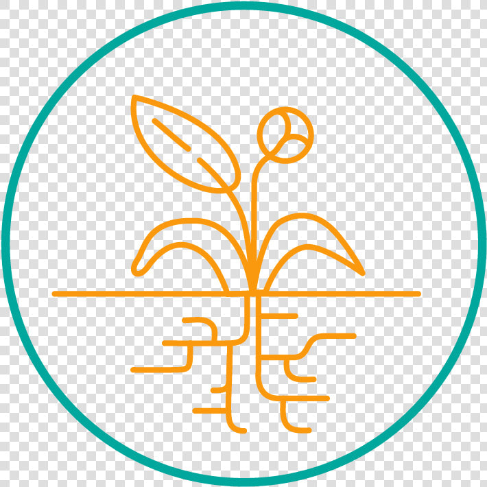 Hyi Icon Growth 01  HD Png DownloadTransparent PNG