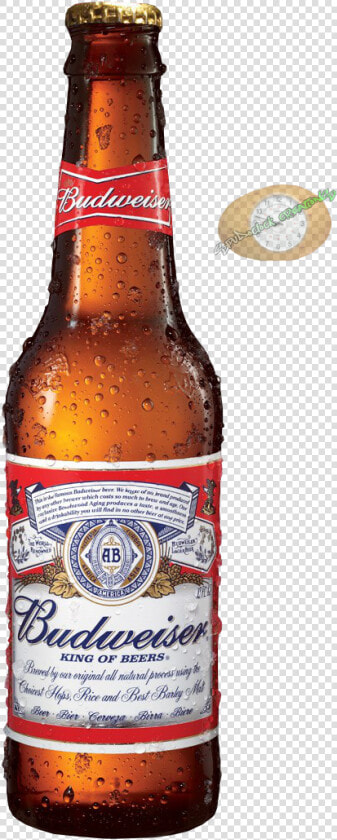 Trend Budweiser Beer Bottle Png » Png Image Of The   Budweiser Beer Bottle Png  Transparent PngTransparent PNG