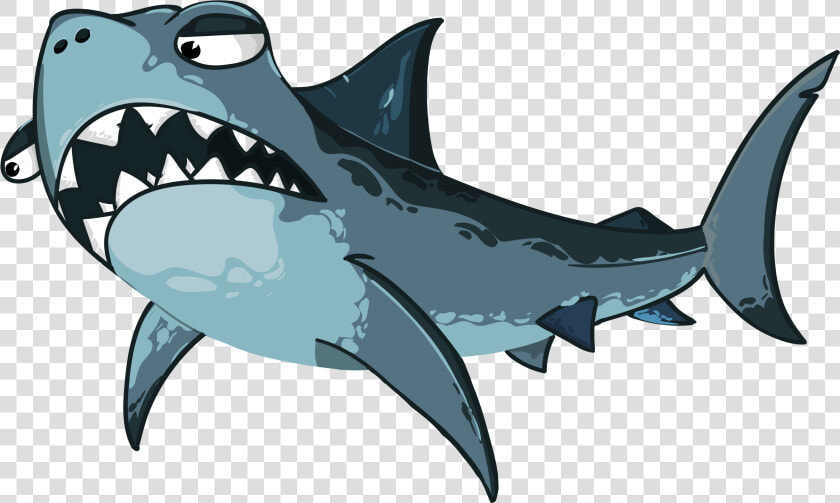 Angry Shark  Sea Animals   Weisser Hai Gezeichnet  HD Png DownloadTransparent PNG