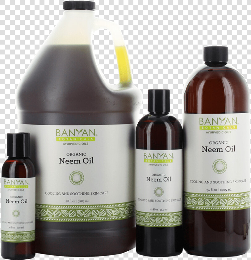 Neem Oil By Banyan Botanicals   Neem Tree  HD Png DownloadTransparent PNG