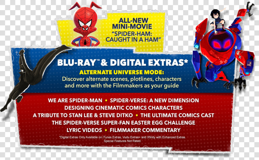 Spider Man Into Spider Verse Dvd Disc  HD Png DownloadTransparent PNG