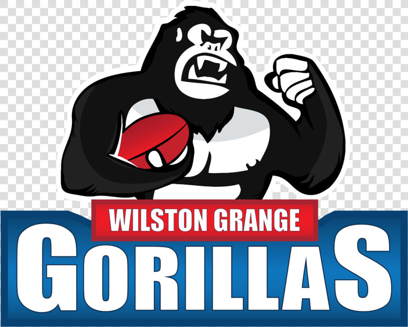 Wilston Grange Football Club  HD Png DownloadTransparent PNG