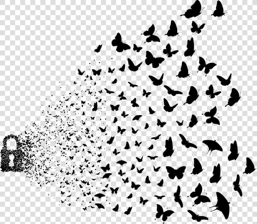 Visual Arts silhouette bird Migration  HD Png DownloadTransparent PNG