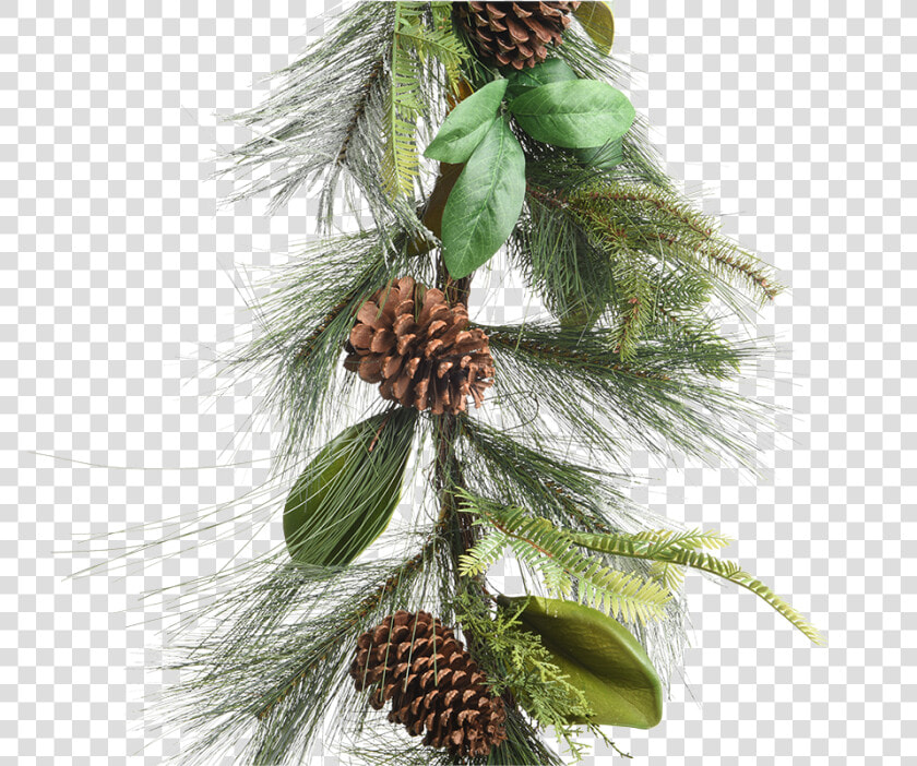 Green Garland With Pinecones   Pond Pine  HD Png DownloadTransparent PNG