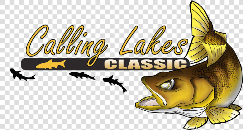 Walleye Fishing   Png Download   Pomacentridae  Transparent PngTransparent PNG