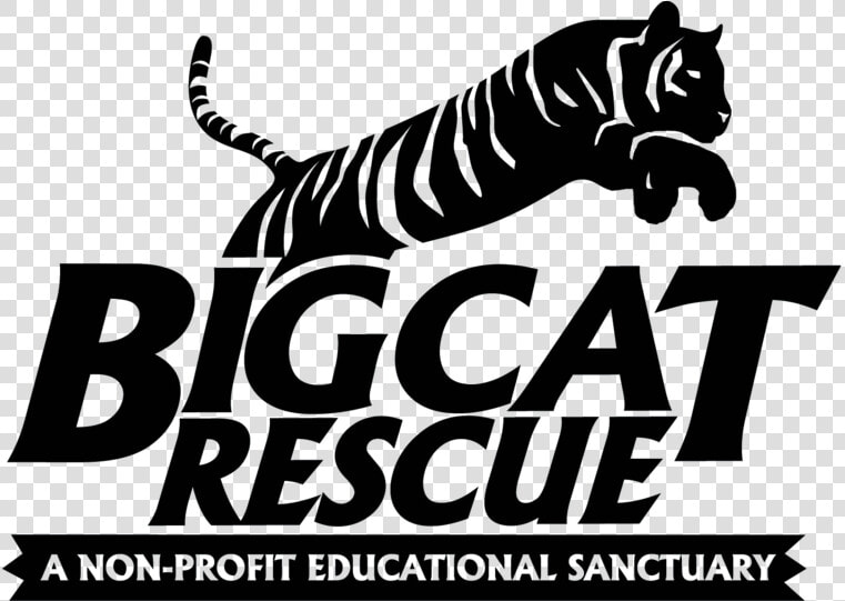 Big Cat Rescue   Big Cat Rescue Tampa Logo  HD Png DownloadTransparent PNG