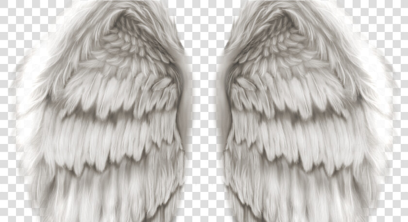 Hd Angel Wings Png   Png Download   Heavenly Angel Wings Png  Transparent PngTransparent PNG