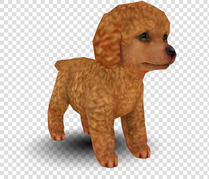 Download Zip Archive   Nintendogs Brown Toy Poodle  HD Png DownloadTransparent PNG