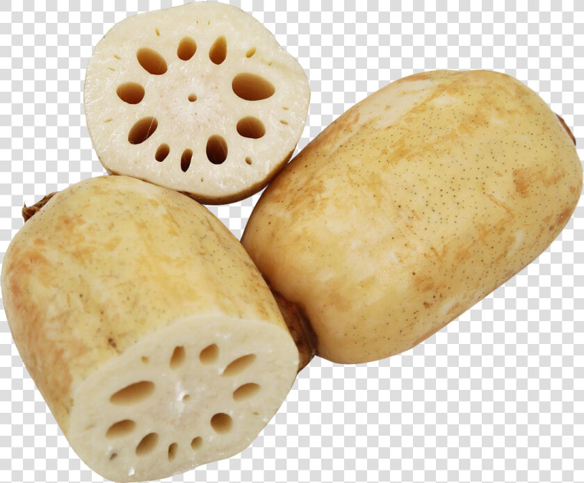 Lotus Root Png Image   Lotus Root Png  Transparent PngTransparent PNG