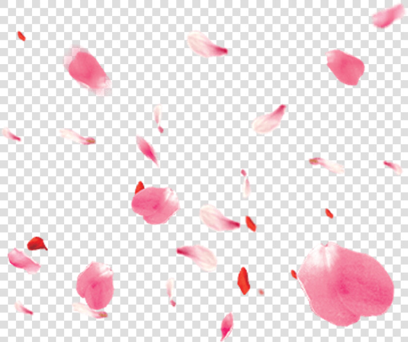 Petal Png     Falling Petals  Transparent PngTransparent PNG