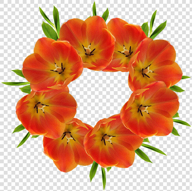 Crown  Flowers  Crown Flower  Leaves   Flower Crown Png Hd  Transparent PngTransparent PNG