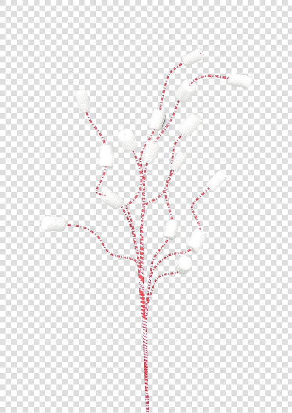 Twig  HD Png DownloadTransparent PNG