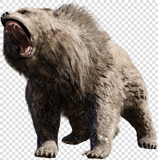 Grizzly bear   Angry Bear Png  Transparent PngTransparent PNG