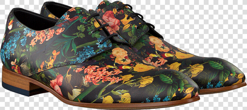 Green Mascolori Business Shoes Birds In Paradise   Outdoor Shoe  HD Png DownloadTransparent PNG