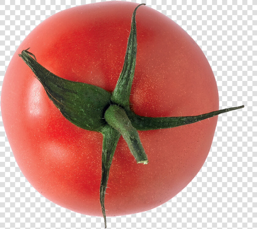 Tomate   Plum Tomato  HD Png DownloadTransparent PNG