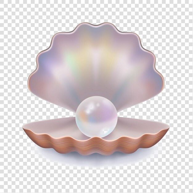 Pearl Download Png Image   Transparent Background Clam Shell Png  Png DownloadTransparent PNG