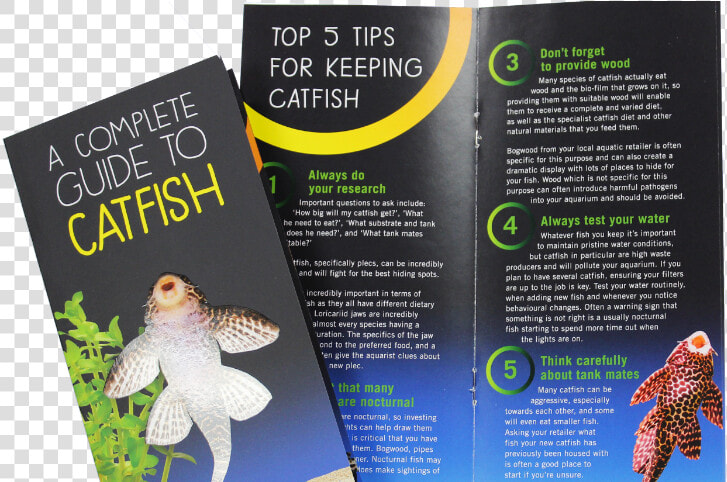 ‘catfish Need More Than Algae’  Claims New Campaign  HD Png DownloadTransparent PNG