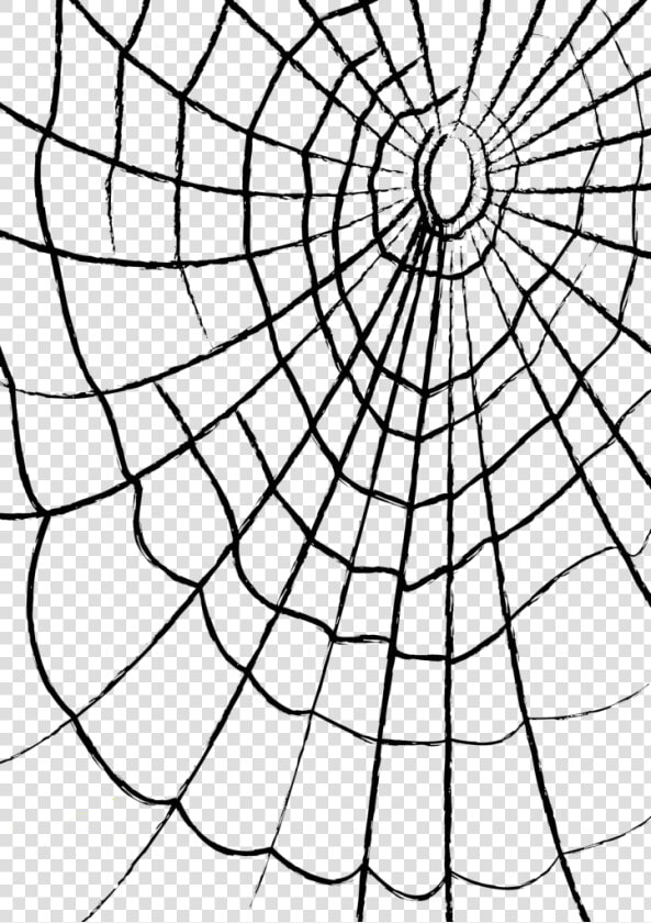 Cobweb Drawing Png  Transparent PngTransparent PNG