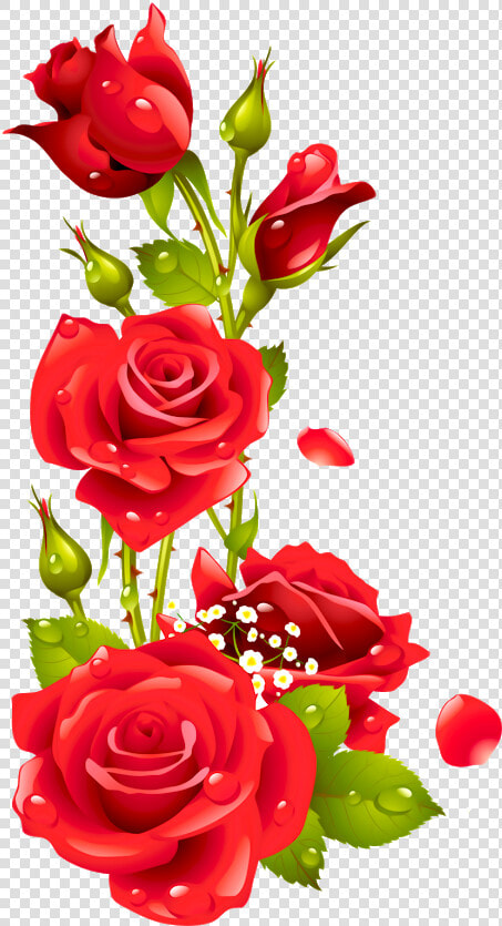 Imagens De Rosas Png  Transparent PngTransparent PNG