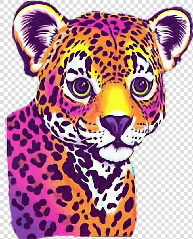 Lisa Frank Transparent   Transparent Lisa Frank Clipart  HD Png DownloadTransparent PNG