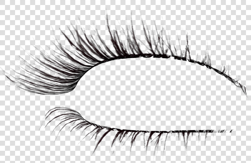 Eyelash Png   Transparent Transparent Background Eyelashes Png  Png DownloadTransparent PNG