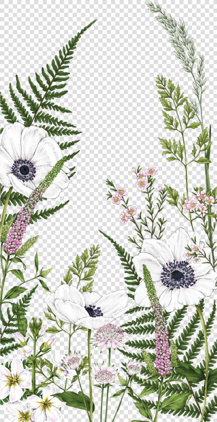 Transparent Kate Spade Flowers Clipart   Fern Flowers Watercolor  HD Png DownloadTransparent PNG