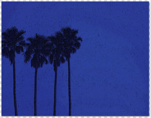 Palms At Midnight Note Card data caption class   Borassus Flabellifer  HD Png DownloadTransparent PNG