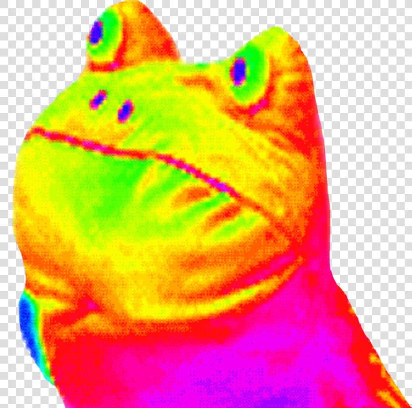 Rainbow Frog Png   Rainbow Frog Gif Png  Transparent PngTransparent PNG