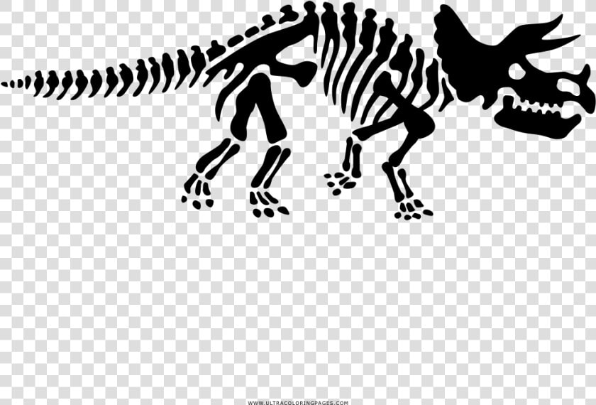 Triceratops Skeleton Coloring Page   T Rex Dinosaur Footprints  HD Png DownloadTransparent PNG