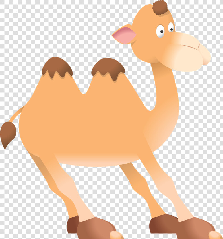 Camel Clip Art At Vector Free 2 Image   Essay On Camel In English  HD Png DownloadTransparent PNG