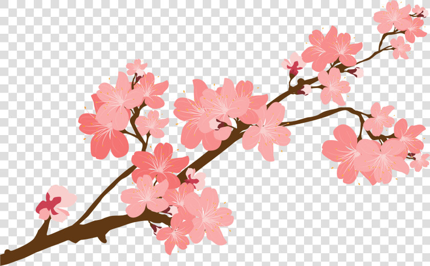 Clip Art Download Huge Freebie   Transparent Background Cherry Blossom Png  Png DownloadTransparent PNG