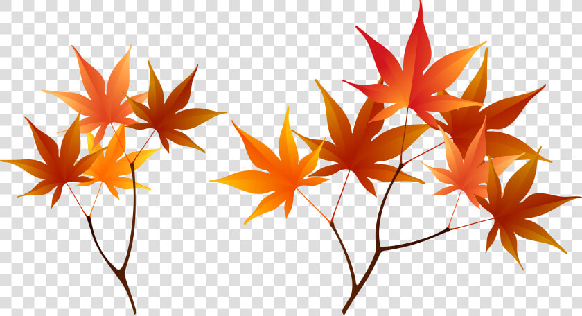 Fall Tree Branch Png   Clipart Autumn Leaves Branch  Transparent PngTransparent PNG