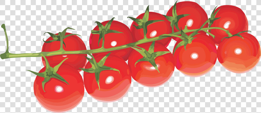 Grab And Download Tomato Icon   Cherry Tomatoes Transparent Background  HD Png DownloadTransparent PNG