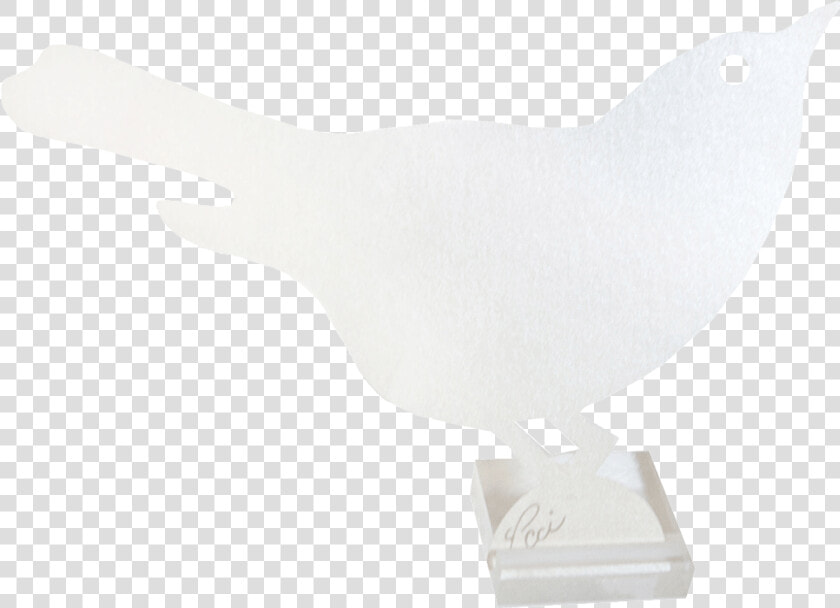 Pigeons And Doves   Png Download  Transparent PngTransparent PNG