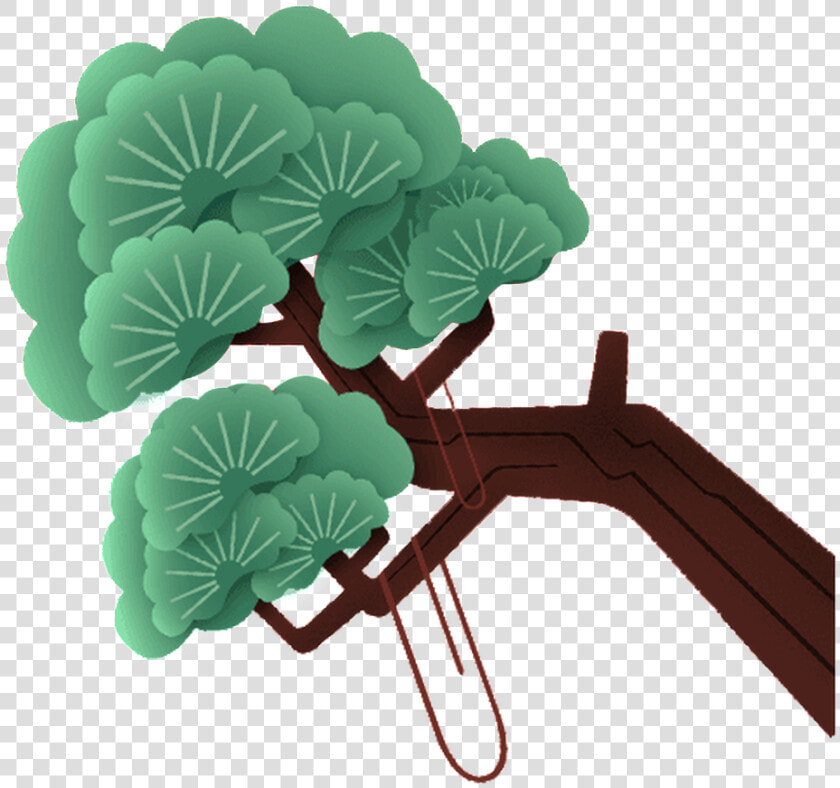 Slanted Pine Tree Transparent Illustration About Vector decorative   松柏 卡通  HD Png DownloadTransparent PNG