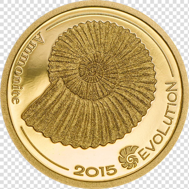 Evolution Of Life 2015 Gold Ammonite  HD Png DownloadTransparent PNG