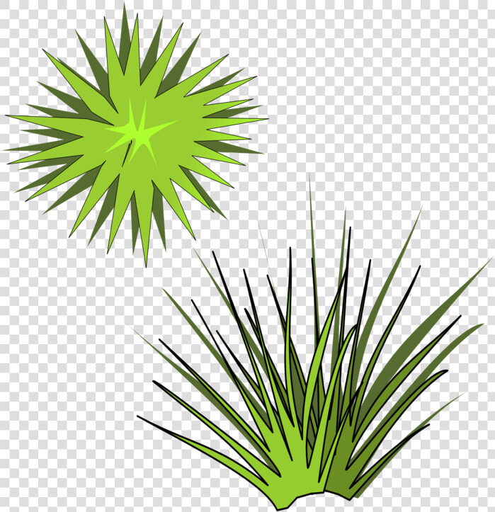 Plant leaf arecales   Spiky Plant Clipart  HD Png DownloadTransparent PNG